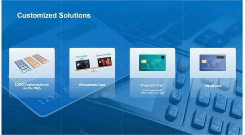 華大電子重磅亮相Seamless 2025，用芯助力數(shù)字安全新時(shí)代技術(shù)服務(wù)